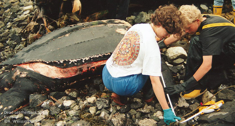 1997 Kyuquot _A Weissenborn _02 – Kyuquot school children