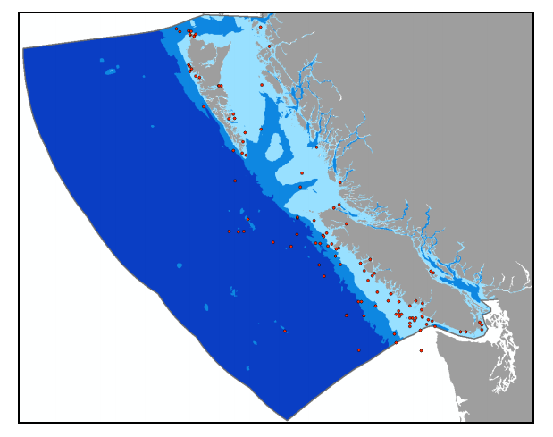 Leatherback turtle sightings